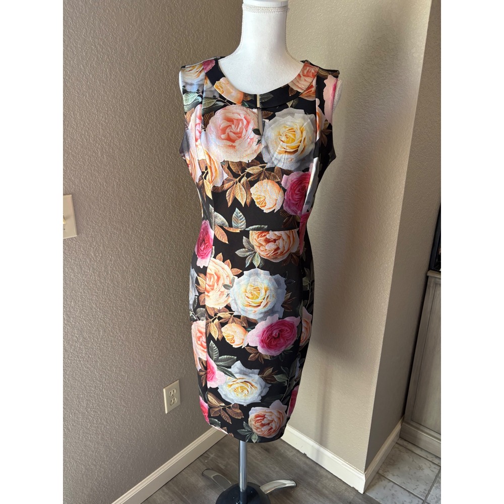 Enfocus Studio Womens Floral Sheath Dress Black Pink Rose‎ Keyhole Size 10